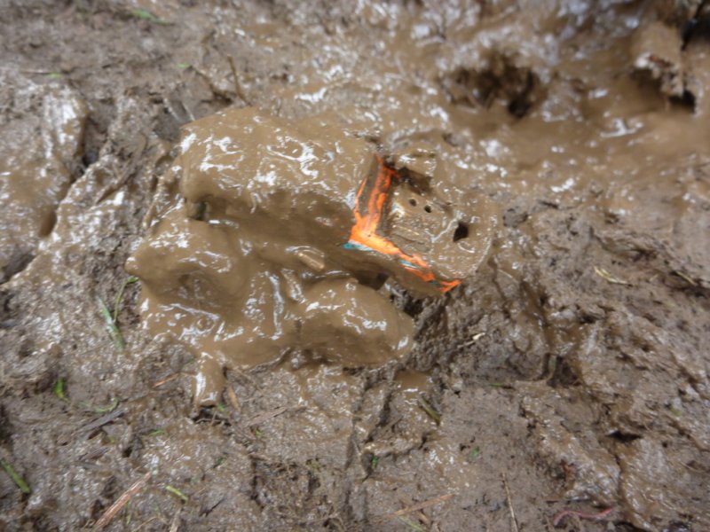 mud2012_br177.jpg